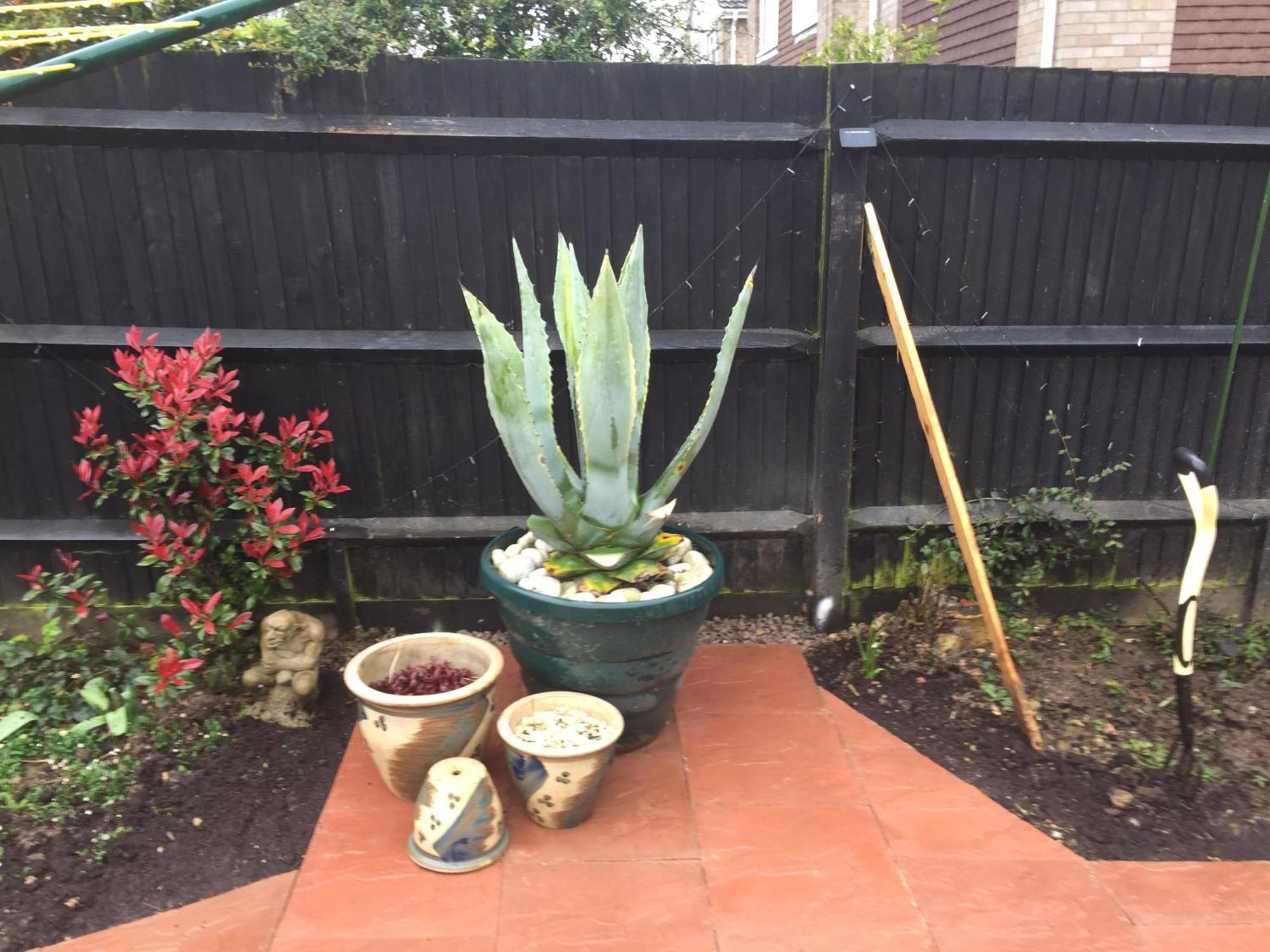 Basingstoke En Suite Room In Garden Annex المظهر الخارجي الصورة