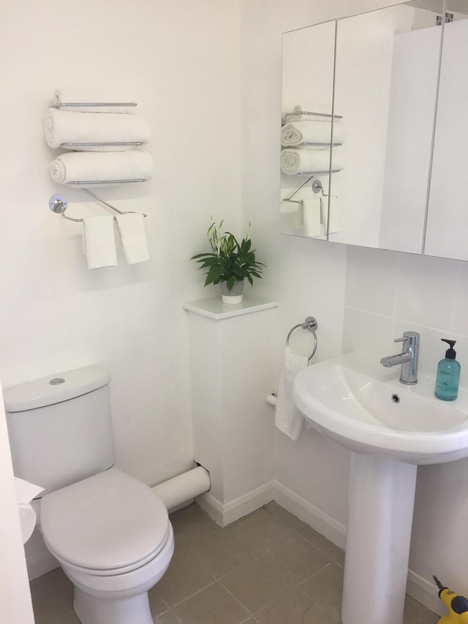 Basingstoke En Suite Room In Garden Annex المظهر الخارجي الصورة